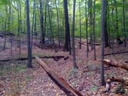 The beginning of the trail